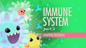 Poster for Immune System, Part 2
