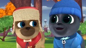 Poster for Winter Wonder-Pug