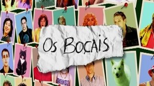 Poster for Os Boçais
