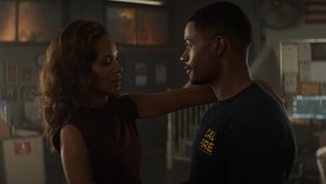 Poster for Not a Stray