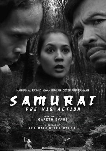 Pre Vis Action Pre Vis Action