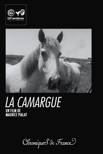 La Camargue La Camargue