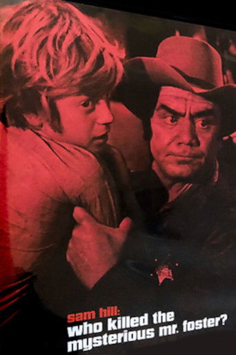 Who Killed the Mysterious Mr. Foster? Who Killed the Mysterious Mr. Foster?