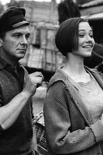 Klavs - The Son of Martin Klavs - The Son of Martin