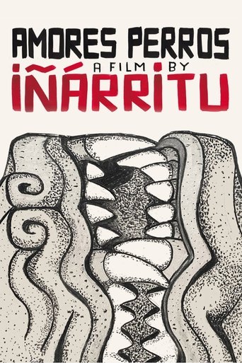Amores Perros Amores Perros