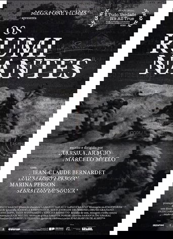 Os Ruminantes Os Ruminantes