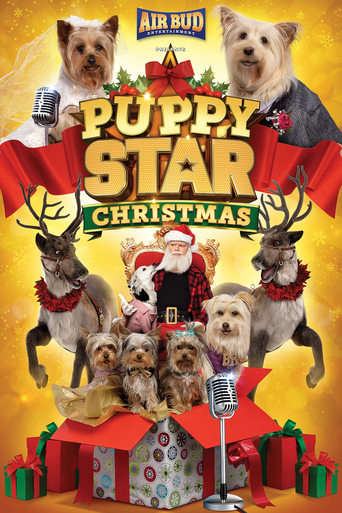 Puppy Star Christmas Puppy Star Christmas