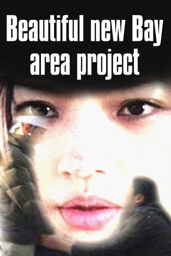 Beautiful New Bay Area Project Beautiful New Bay Area Project