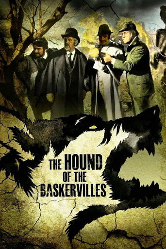 The Hound of the Baskervilles The Hound of the Baskervilles