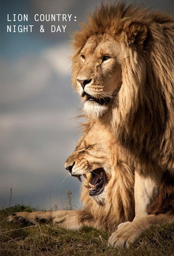 Lion Country: Night and Day Lion Country: Night and Day
