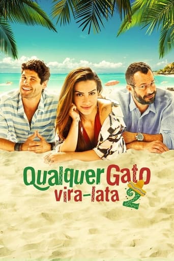 Qualquer Gato Vira-Lata 2