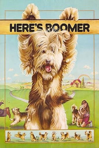 Here's Boomer Here's Boomer
