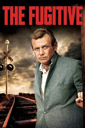 The Fugitive The Fugitive