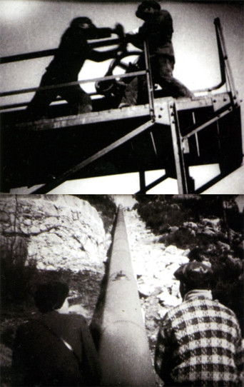 White Coal White Coal