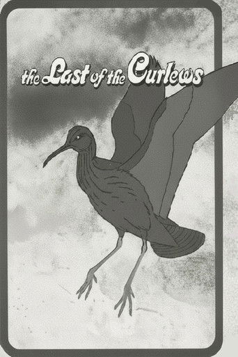 The Last of the Curlews The Last of the Curlews