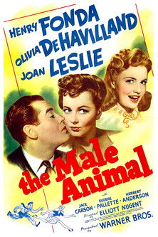 The Male Animal The Male Animal