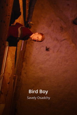 Bird Boy Bird Boy