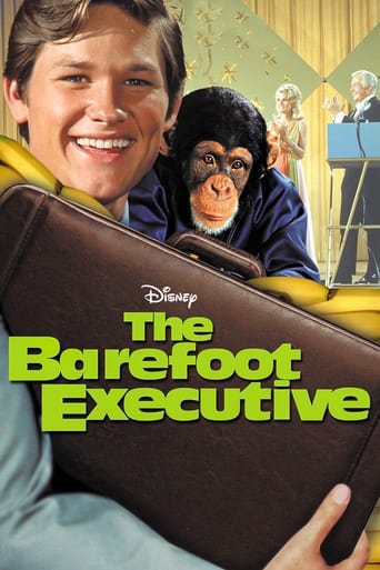 The Barefoot Executive