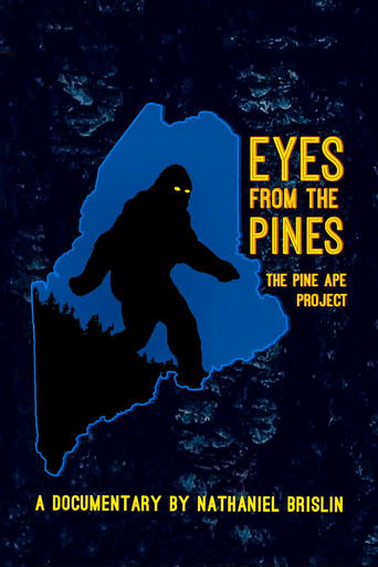 Eyes from the Pines Eyes from the Pines