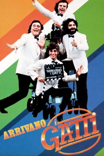 Arrivano i gatti Arrivano i gatti