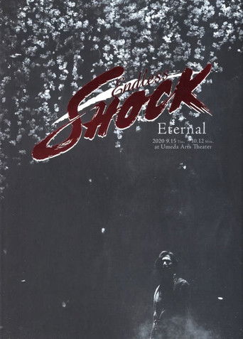 Endless SHOCK 20th Anniversary -Eternal- Endless SHOCK 20th Anniversary -Eternal-
