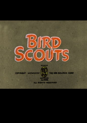 Bird Scouts Bird Scouts
