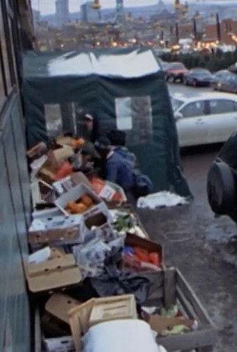 Surfing the Waste: a Musical Documentary about Dumpster Diving Surfing the Waste: a Musical Documentary about Dumpster Diving
