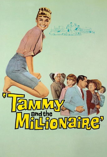 Tammy and the Millionaire Tammy and the Millionaire