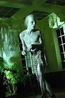 Coffins of Light Coffins of Light