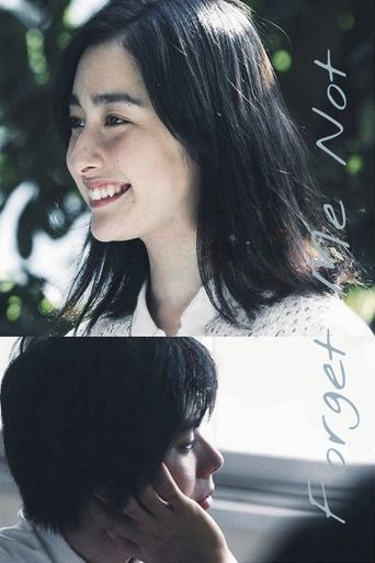 Forget Me Not Forget Me Not