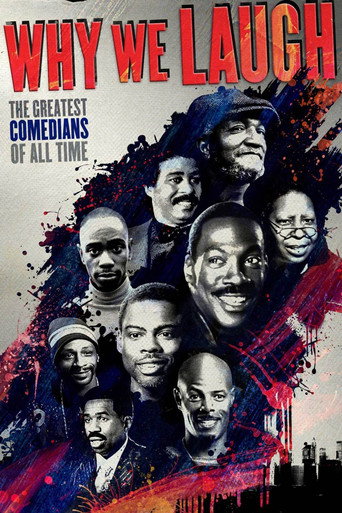 Why We Laugh: Black Comedians on Black Comedy Why We Laugh: Black Comedians on Black Comedy