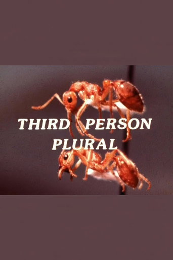 Third Person Plural Third Person Plural