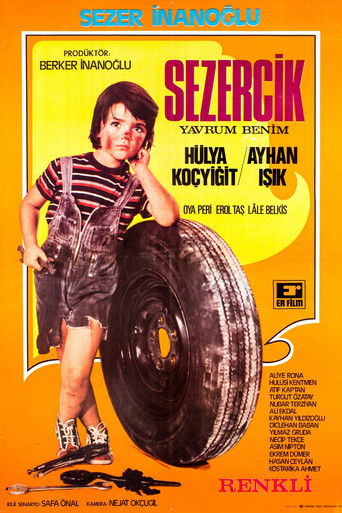 Sezercik Yavrum Benim Sezercik Yavrum Benim