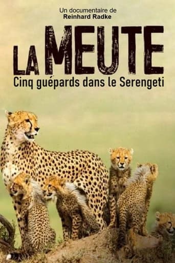 Die fünf Geparde - Gemeinsam durch die Serengeti