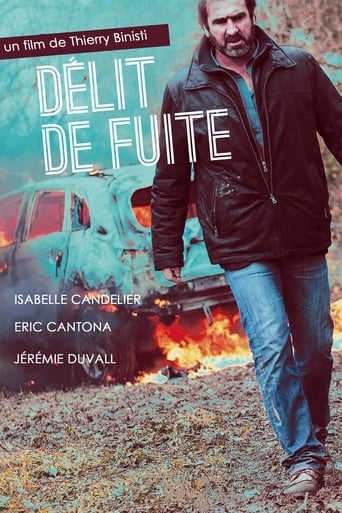 Délit de fuite