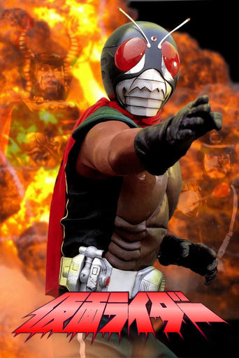 Kamen Rider (Skyrider)