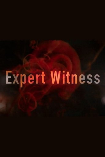 Expert Witness Expert Witness