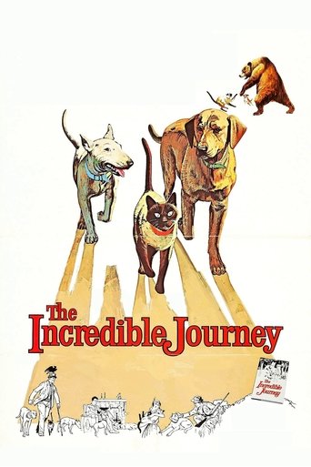 The Incredible Journey The Incredible Journey
