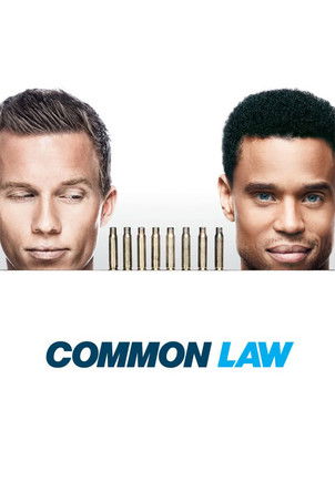 Common Law Common Law