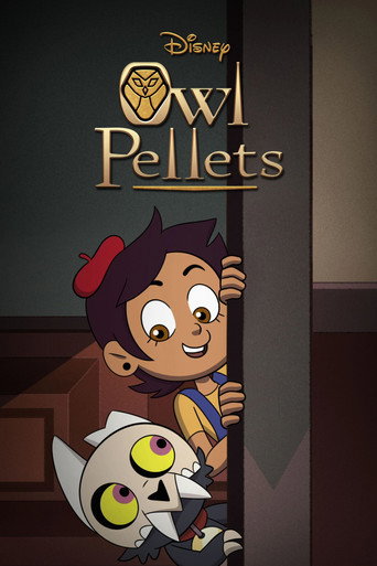 Owl Pellets Owl Pellets