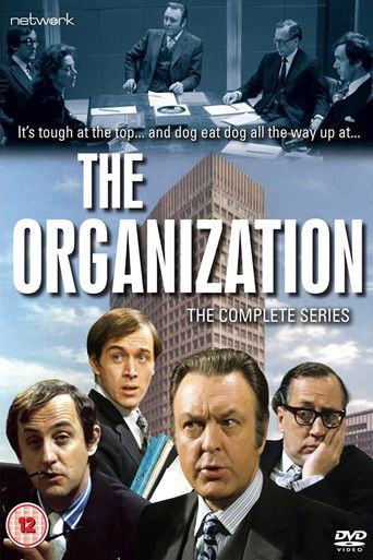 The Organization The Organization