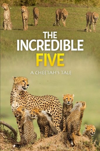 The Incredible Five: A Cheetah's Tale The Incredible Five: A Cheetah's Tale