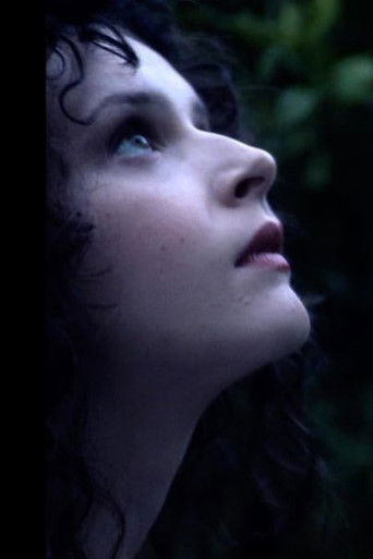 The Orchard The Orchard